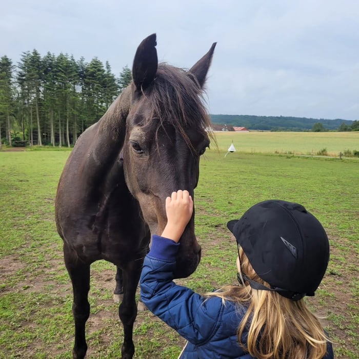 Barn hviler hen over ryggen på hesten og oplever kropslig ro og samregulering
